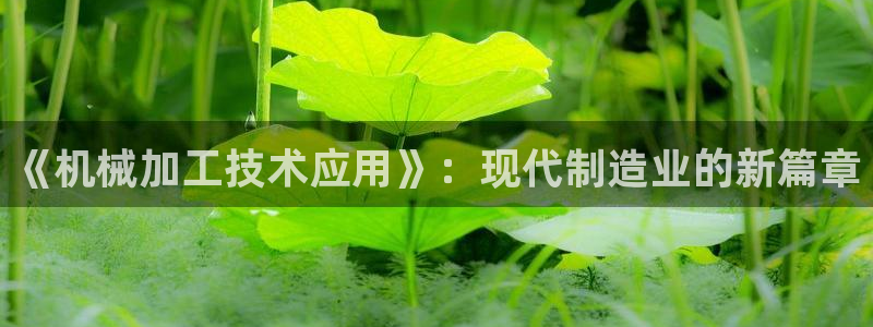 乐发传媒是正规平台吗