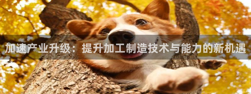 乐发平台邀请码是多少啊