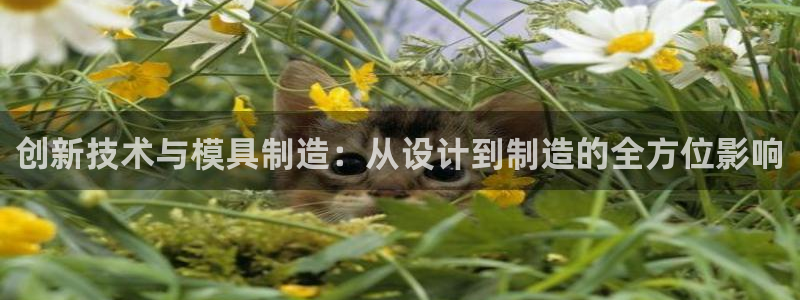 大发乐发x诈骗平台