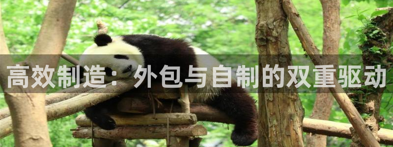 乐发平台下载安装