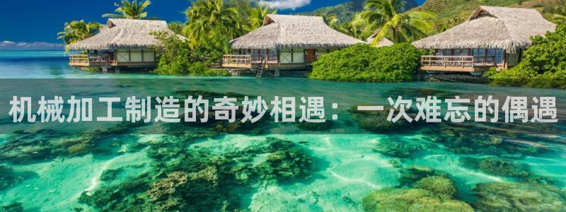 乐豪发娱乐平台