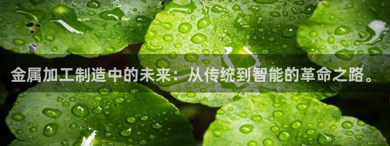分期乐发政务短信平台