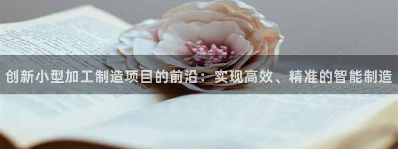 乐发 lll平台