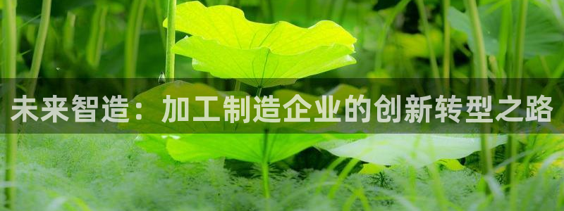 乐发彩票是什么平台啊