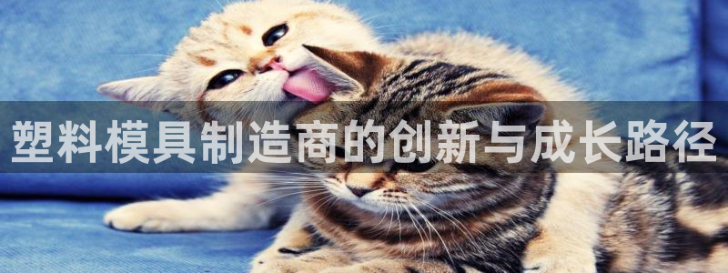乐发彩票平台怎么样