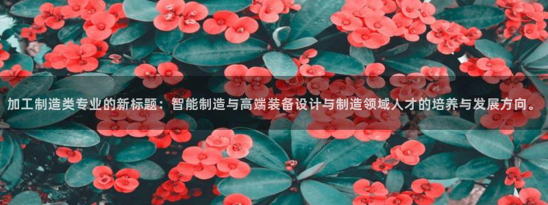 乐发彩票平台入口官网
