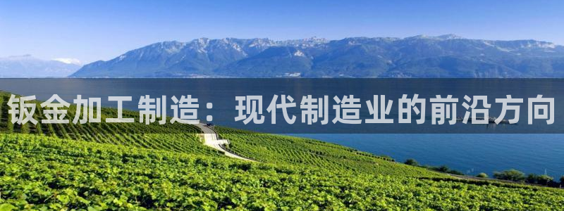 大发乐发x诈骗平台
