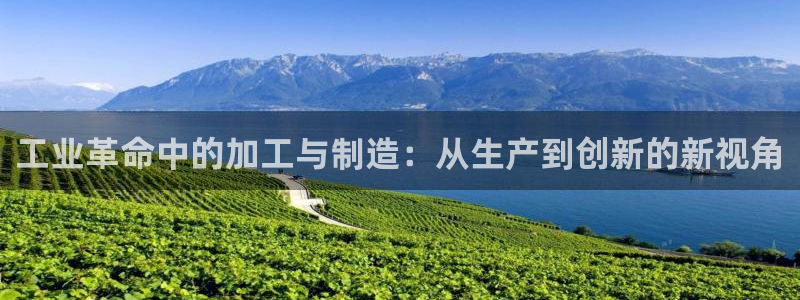 乐发彩票网平台带人玩的