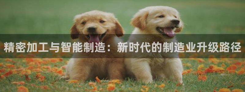乐发彩票平台