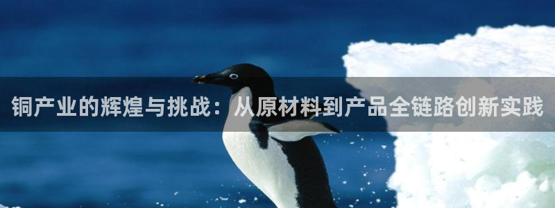 乐发平台今天咋打不开