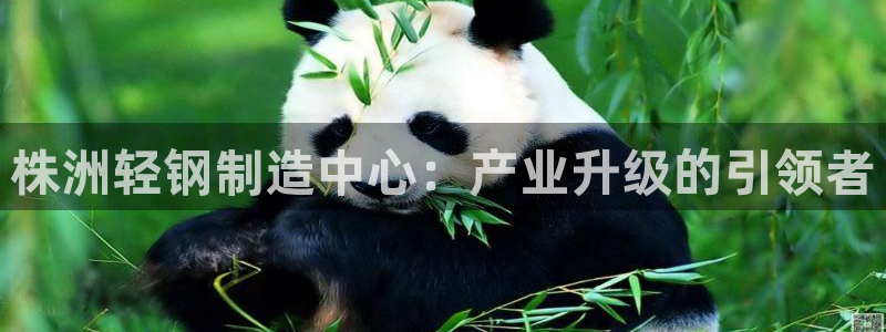 乐发平台app