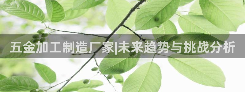 乐发平台赚钱技巧