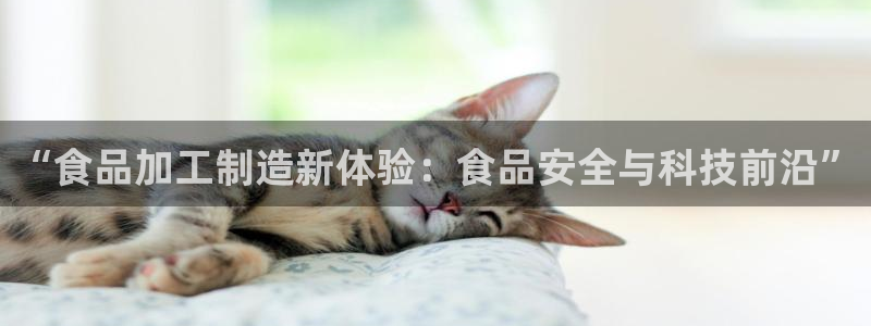乐发平台注册资金多少钱