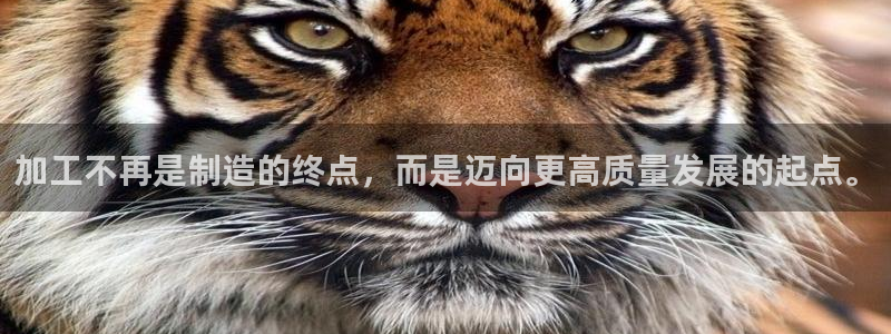 乐发彩票是什么平台