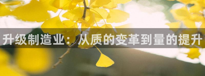 乐发彩票平台正规吗