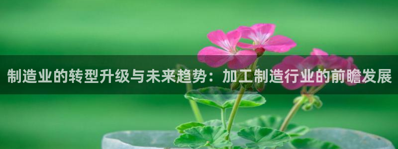 乐发彩票平台app下载