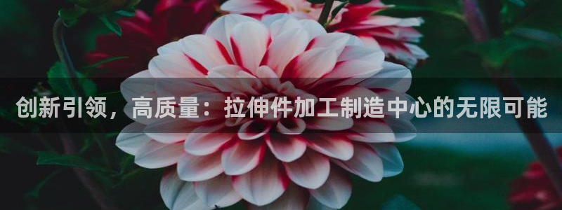 乐发彩票app平台
