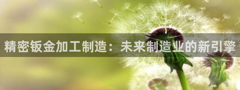 乐发官网平台