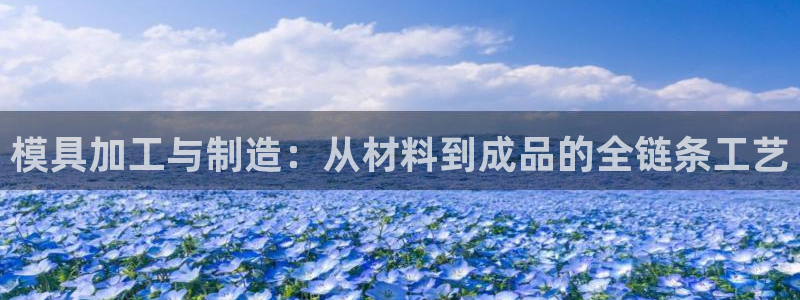 大发乐发x诈骗平台