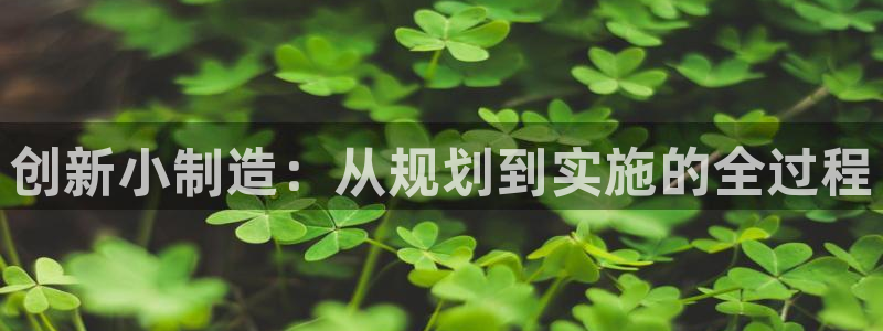 乐发v11平台怎样