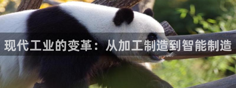 乐享发朋友圈平台