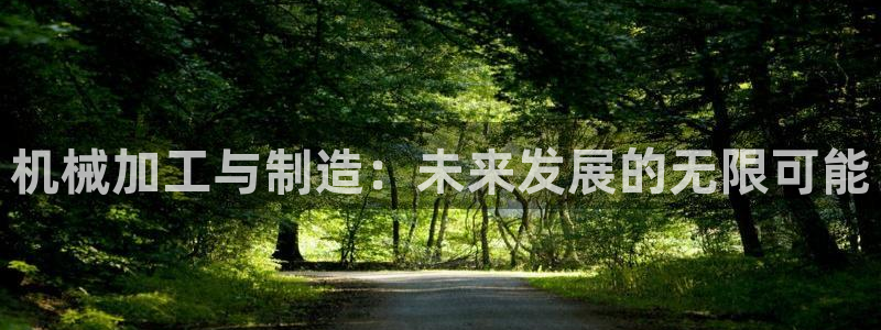 名发乐彩IV平台怎么样