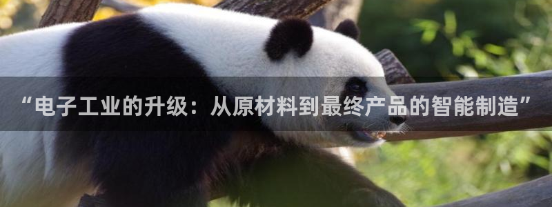 乐发传媒是怎样的平台