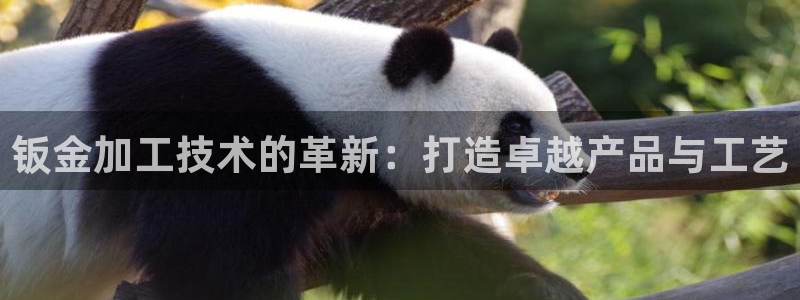 乐发彩票是什么平台啊