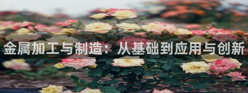 乐发IV_平台