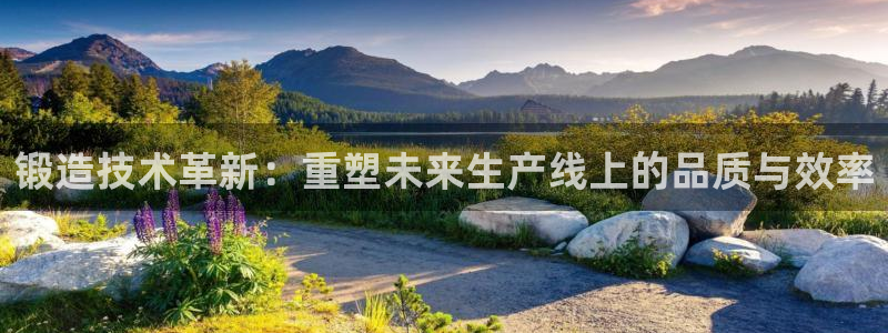 乐发第一娱乐平台邀请码