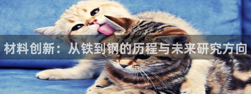 乐发平台a