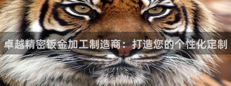 乐发vii平台
