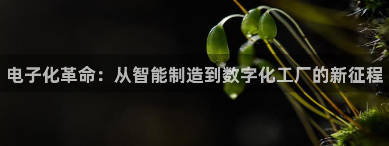 乐发平台金辉娱乐怎么样