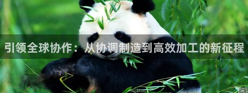 乐发ix投资平台官网
