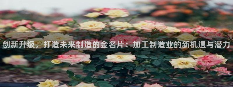 必发误乐黑平台