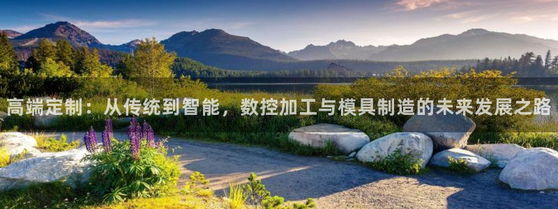 乐发app下载平台官网