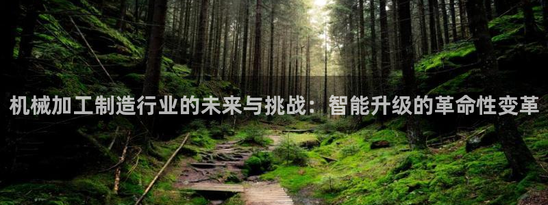 乐发平台注册资金多少