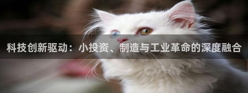 发发乐游戏平台