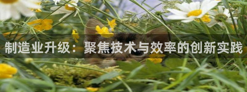 乐发平台网址是什么