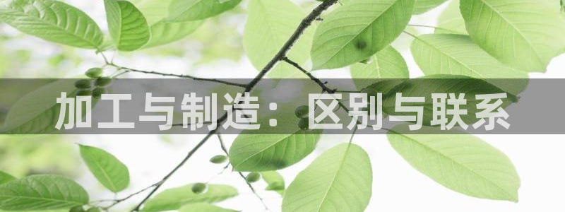 乐发复生官方平台下载安装