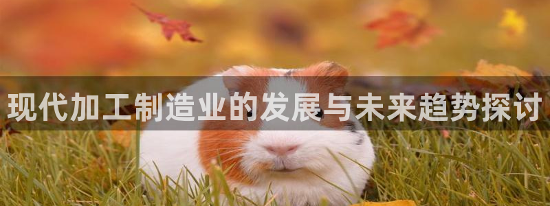 乐千发卡平台靠谱吗