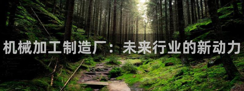 乐发vll平台靠谱嘛