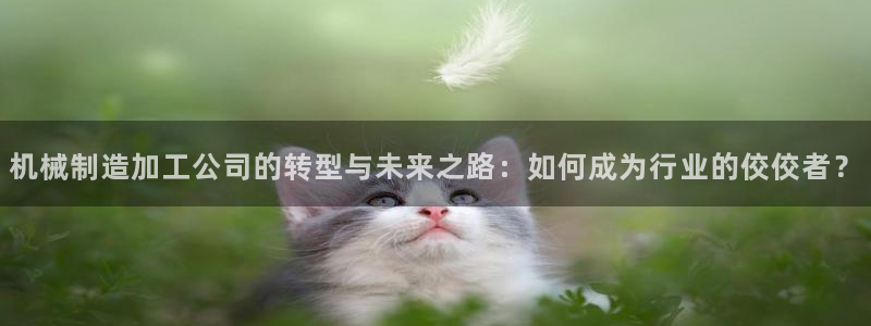 乐发III平台最新版本更新内容