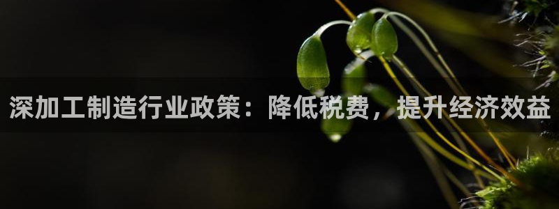 乐发彩票平台后方