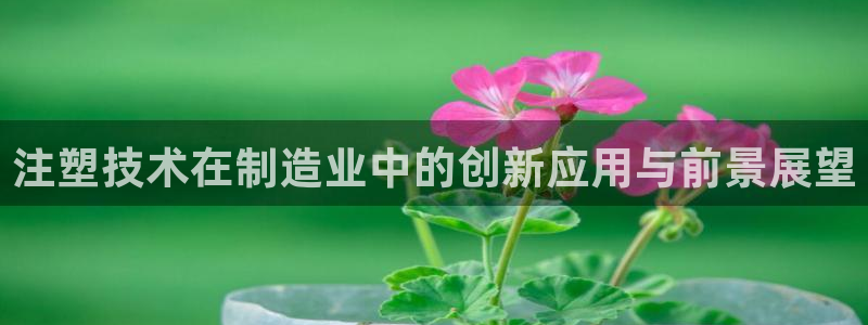 乐发彩票登录平台手机版