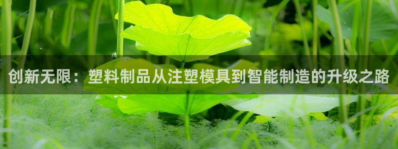 乐发天天娱乐平台注册