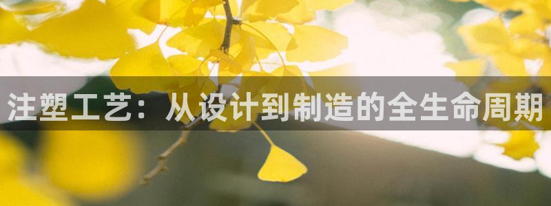 乐发v11平台怎样