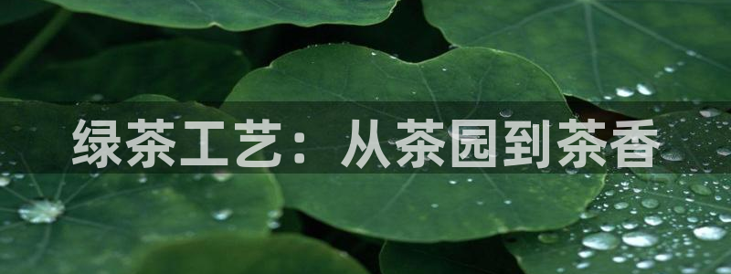 乐发天天娱乐平台注册