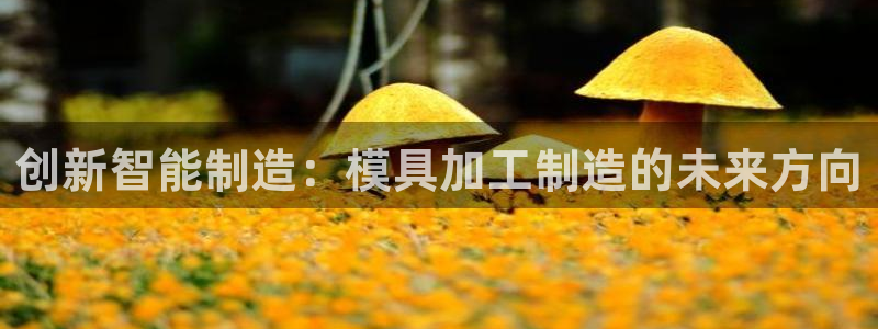 乐发II平台官方