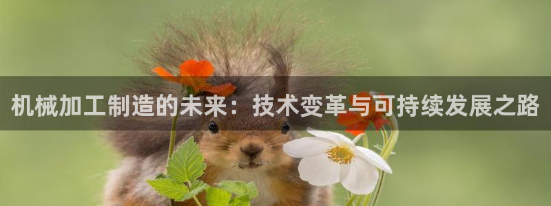 乐发平台下载官网app